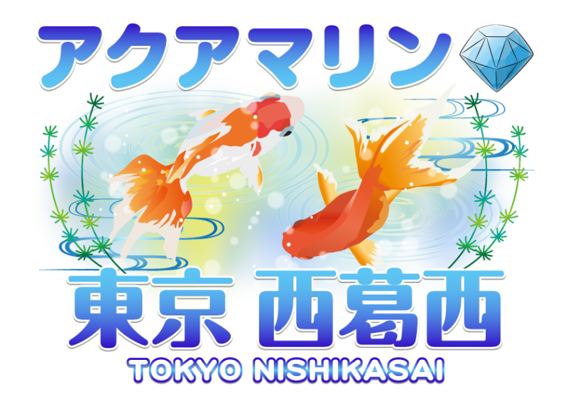 マーチャオアクアマリン西葛西